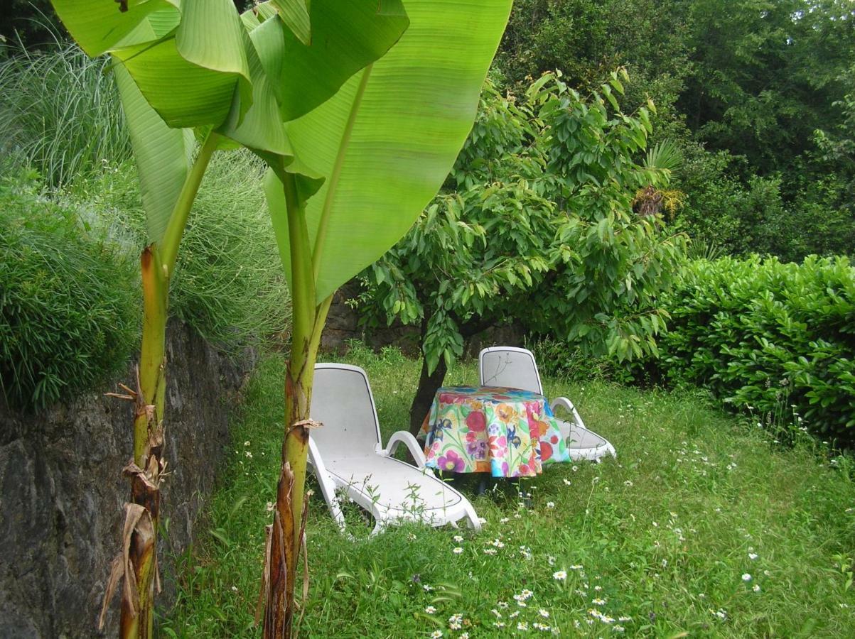 Vacation Home Lucija Slatina  Luaran gambar